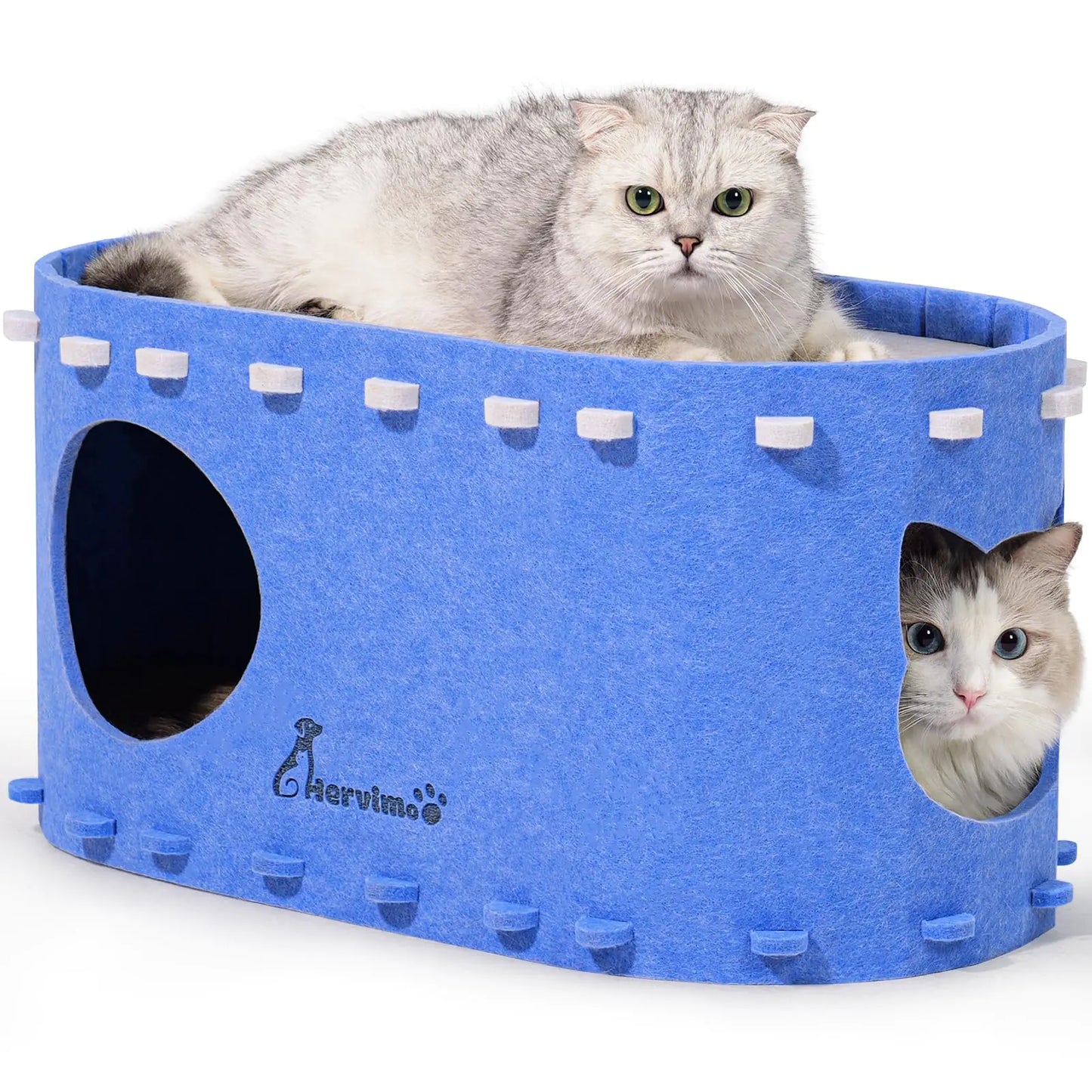 2-in-1 Cat House & Tunnel Blue - Foldable Peekaboo Cave for Large Cats