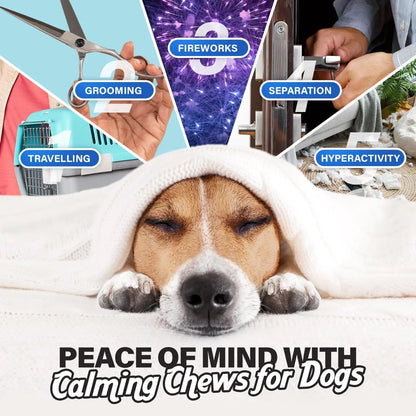 Calming Chews for Dogs - Anxiety Relief with Chamomile & Valerian Root (90 Chicken Chews)