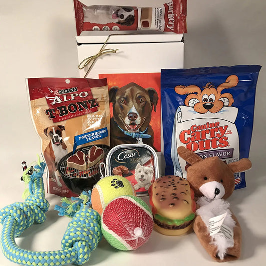 Dog Gift Box Basket for A Favorite Canine/Fur Baby - Send These Treats and Toys to a Furry Pet Friend! Great for Christmas Birthdays Get Well/Surgery Recovery...