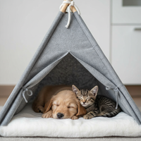 Puppy and kitten sleeping peacefully inside pet teepee
