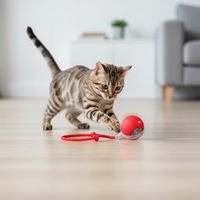 Bengal cat playing with interactive rolling ball toy