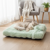 Tabby cat curled up on green calming bed with pillow