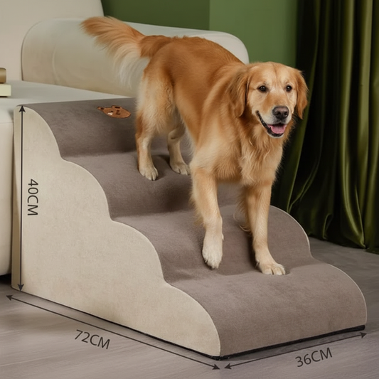 Dog using anti-slip textured surface ramp with secure footing