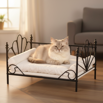 British Shorthair cat resting on elevated metal pet couch