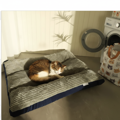 Cat curled up on machine-washable pet bed easy-clean convenience hygiene
