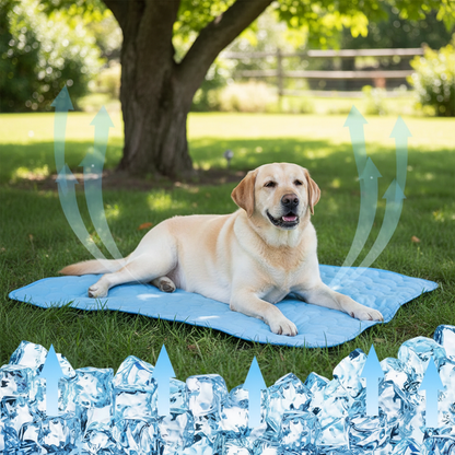 Labrador on breathable cooling blanket outdoors shade heat protection