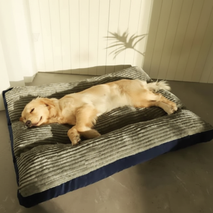 Golden Retriever resting on soft durable washable pet bed quality
