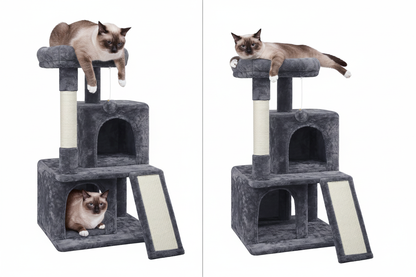 Before and after: cramped perch vs extra-large perch for big cats