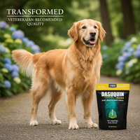 Healthy senior large dog with strong joints from Dasuquin MSM supplement