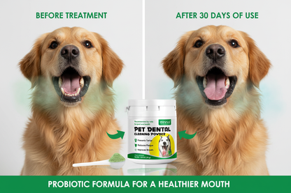 Before and after: bad breath vs fresh breath with dental powder