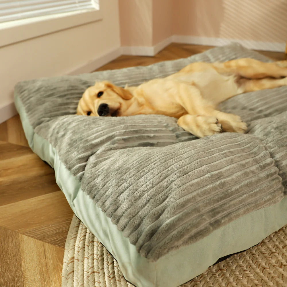 Washable Pet Bed - Machine-Washable Bed for Dogs & Cats
