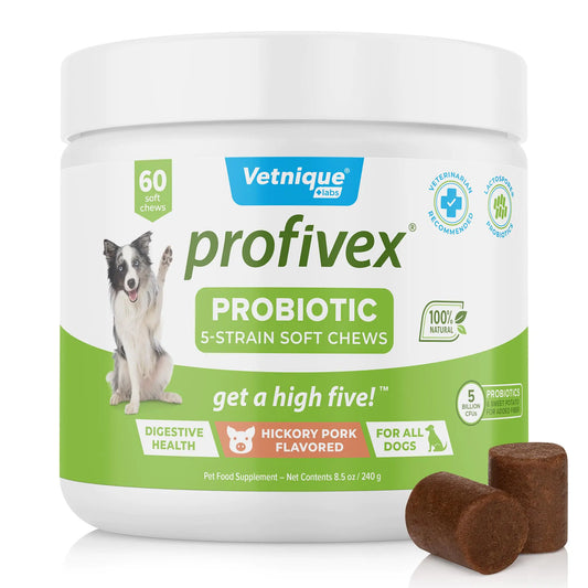 Vetnique Labs Profivex Probiotics for Dogs | Digestive Health | 60 Chews