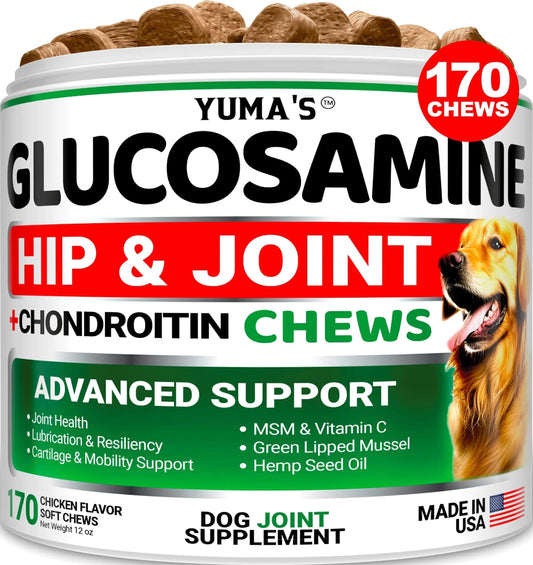 Glucosamine Hip & Joint for Dogs | Pain Relief & Mobility Support | 170 Chews